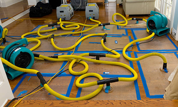 Professional Water Damage Repair technician working in Harrington, WA