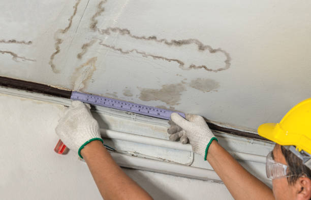 Affordable Water Damage Repair solutions in Harrington, WA